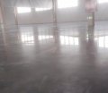 _0019_石家莊新興醫(yī)藥項(xiàng)目 施工金剛砂固化整體地坪