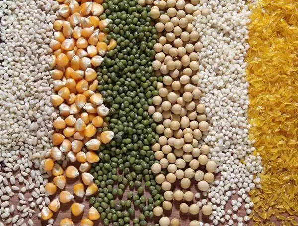 食品SC潔凈車間凈化工程